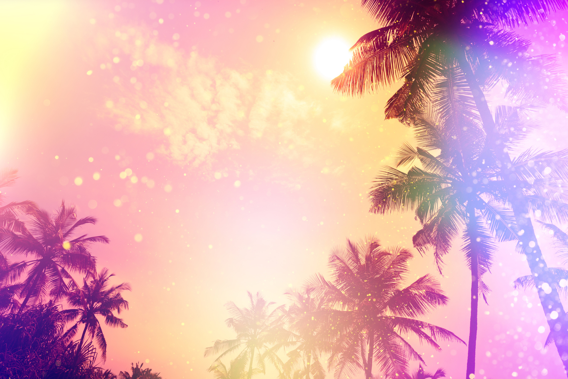 Palm sunset silhouettes tropical beach party fairytale stylized